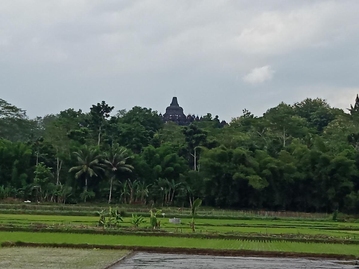 Penginapan & Guest House Mbok Dhe Borobudur 마겔랑 외부 사진